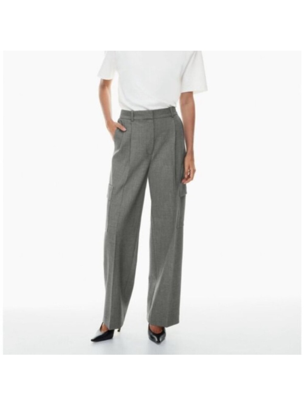 Aritzia Babaton Spotlight Cargo Pant